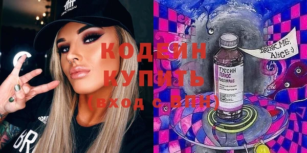хмурый Белокуриха