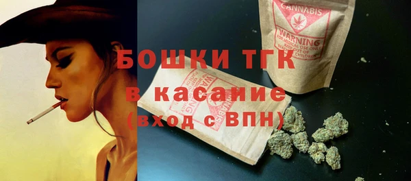хмурый Белокуриха