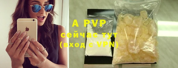 хмурый Белокуриха