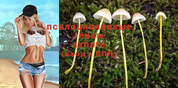 хмурый Белокуриха