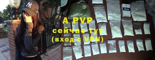 хмурый Белокуриха
