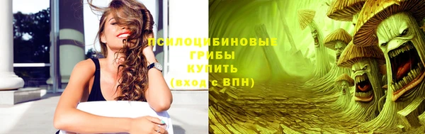 хмурый Белокуриха
