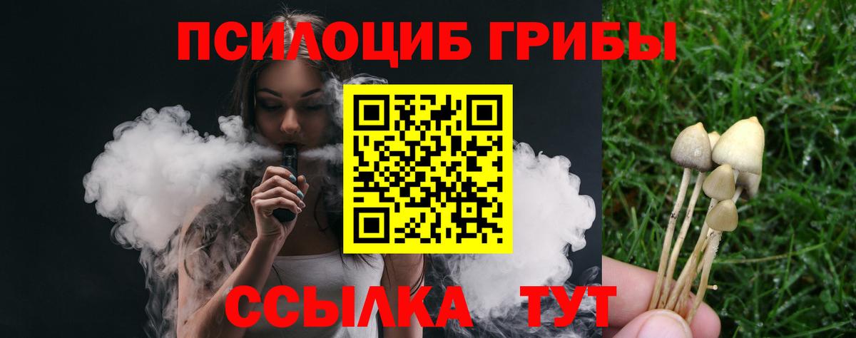 Галлюциногенные грибы Psilocybe Губкинский