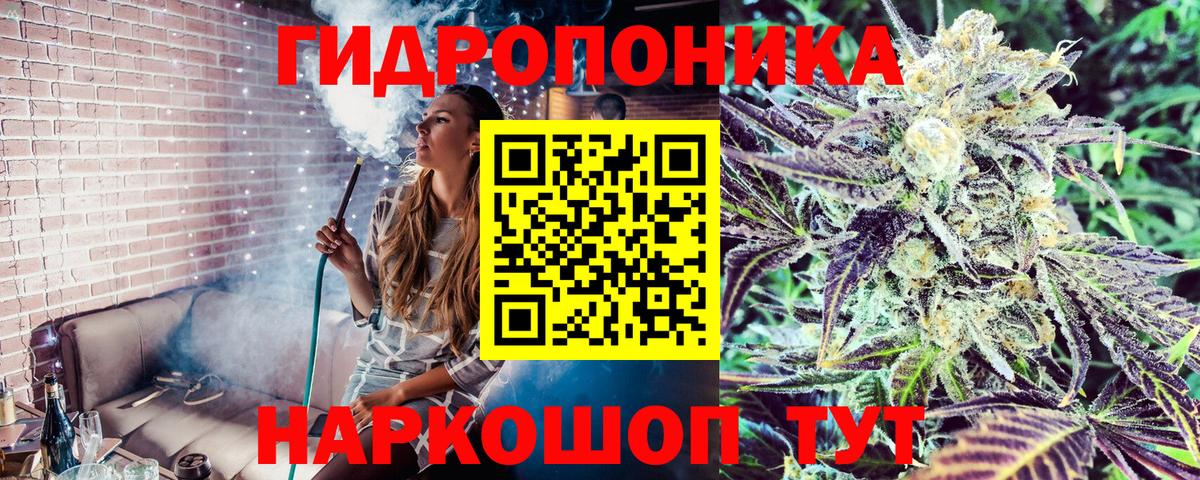 Канабис план Губкинский